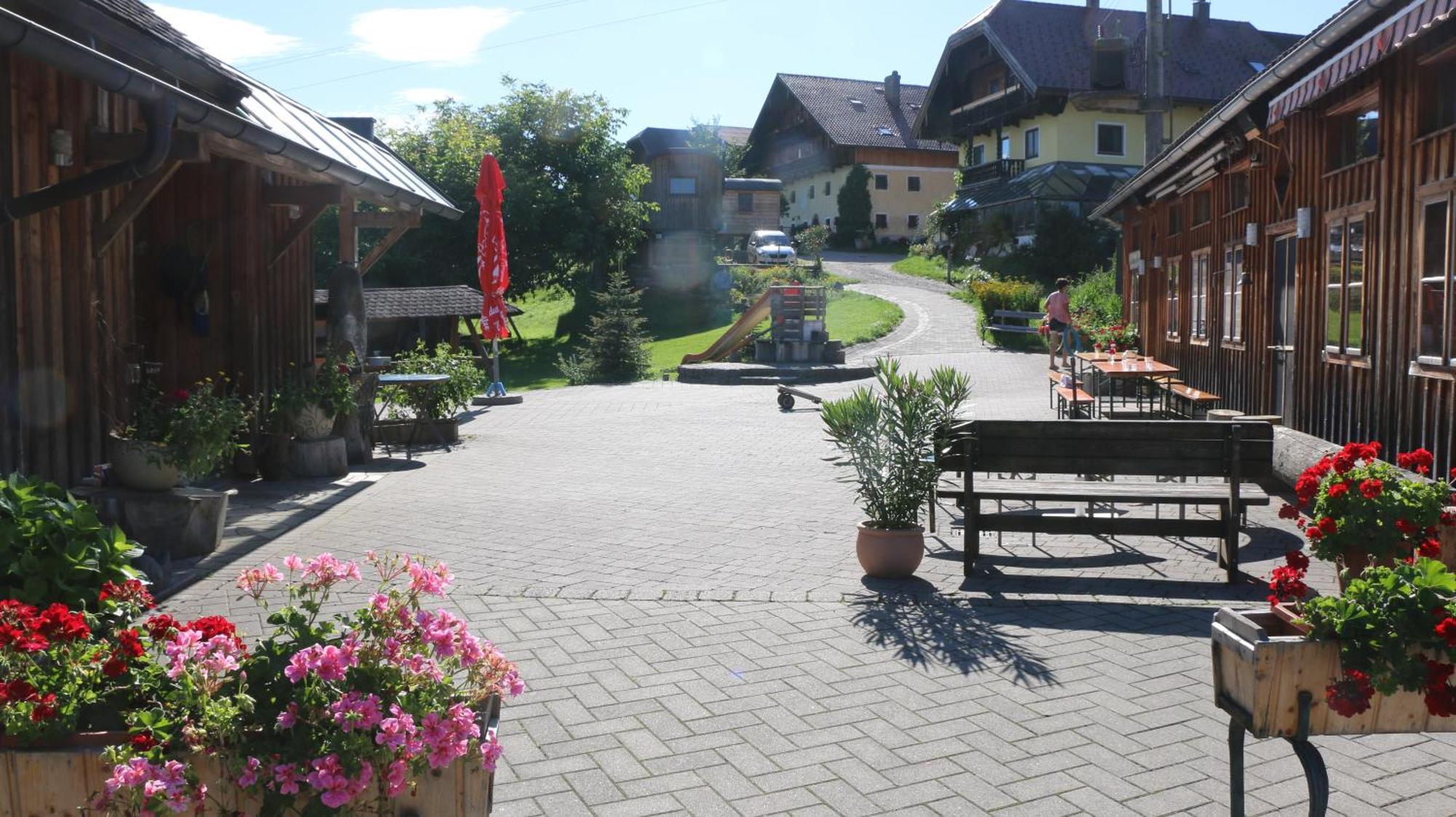 Appartamento Bio Archehof Zachhiesen Seekirchen am Wallersee Esterno foto