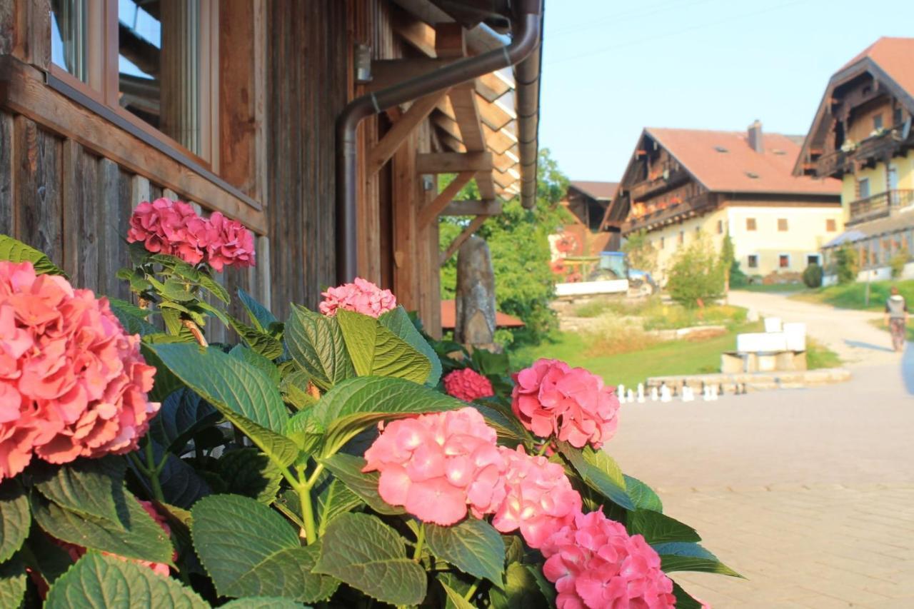 Appartamento Bio Archehof Zachhiesen Seekirchen am Wallersee Esterno foto