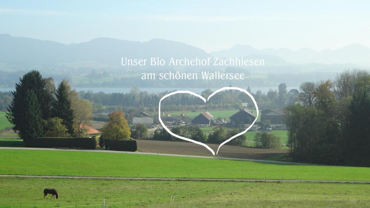 Appartamento Bio Archehof Zachhiesen Seekirchen am Wallersee Esterno foto
