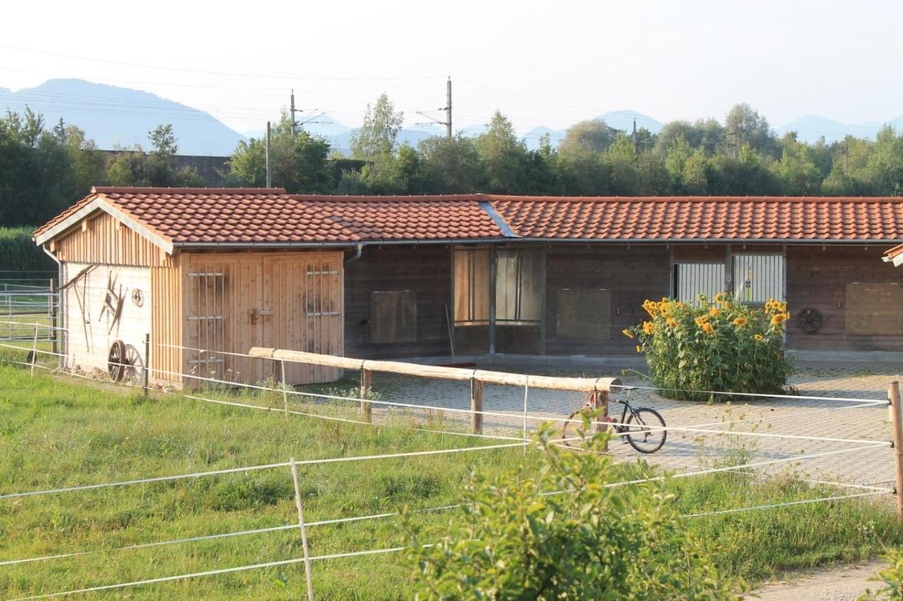 Appartamento Bio Archehof Zachhiesen Seekirchen am Wallersee Esterno foto