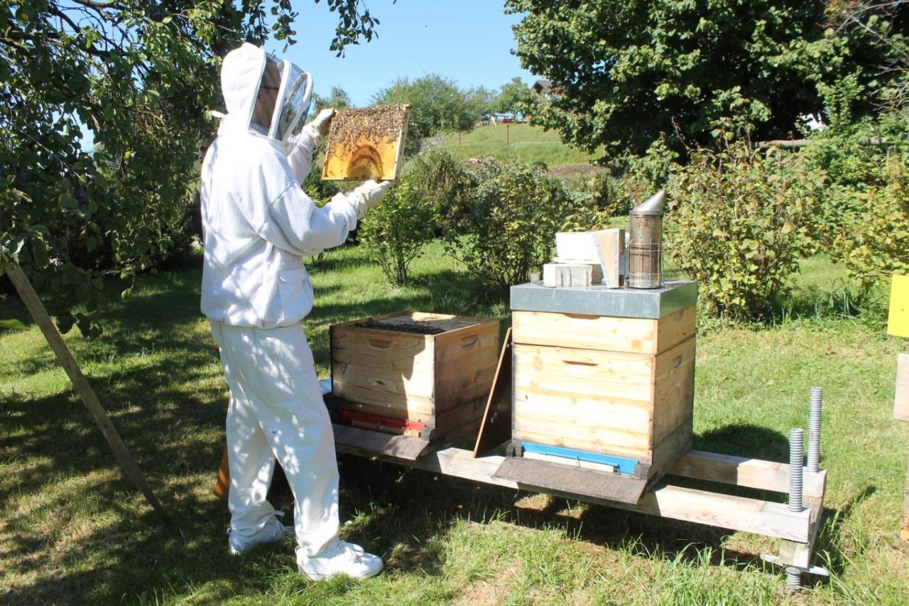 Appartamento Bio Archehof Zachhiesen Seekirchen am Wallersee Esterno foto