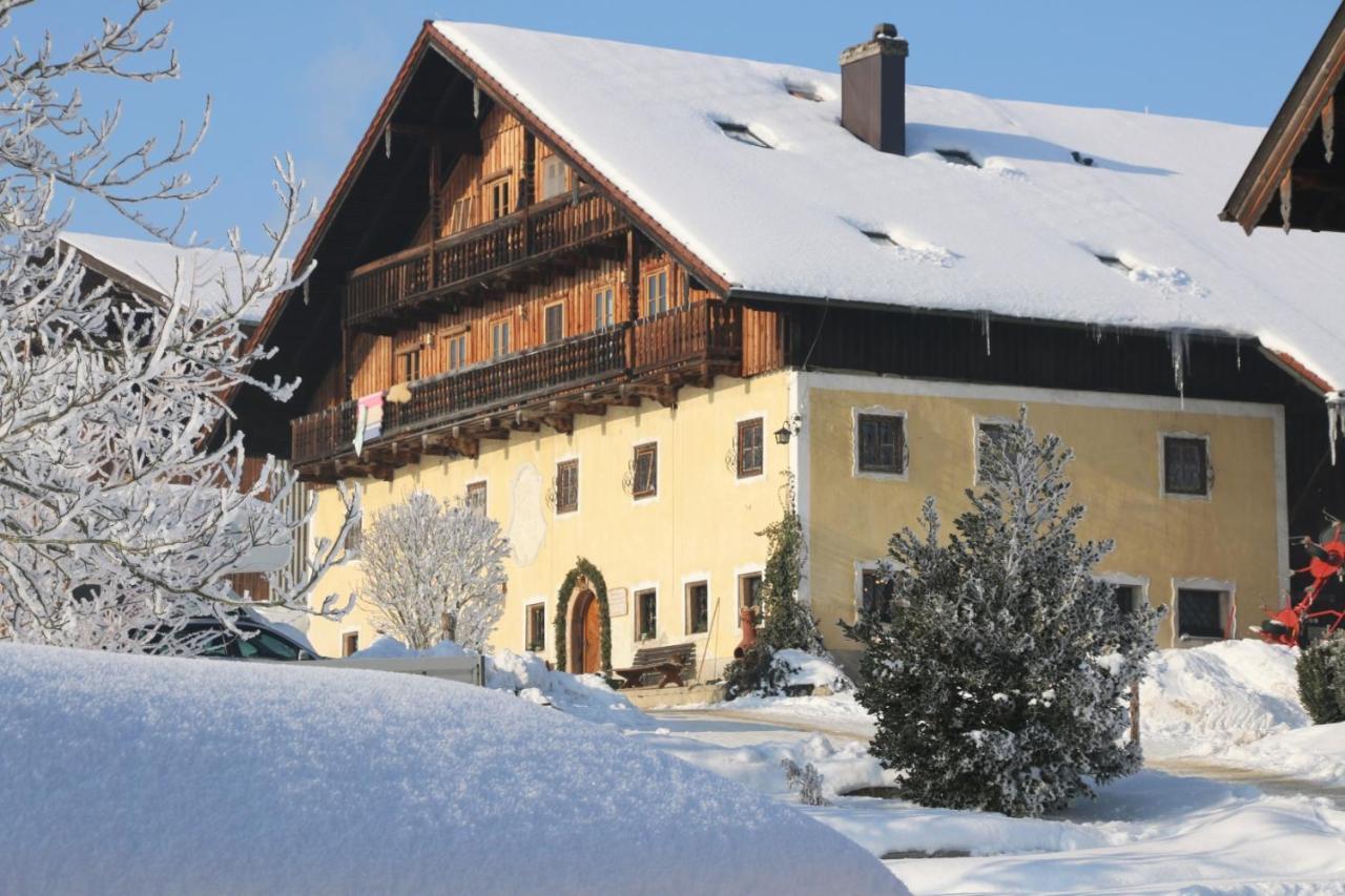 Appartamento Bio Archehof Zachhiesen Seekirchen am Wallersee Esterno foto